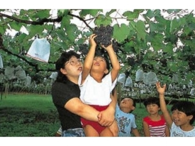 ٓVόԂǂ^Ԃǂ̎ʐ^1