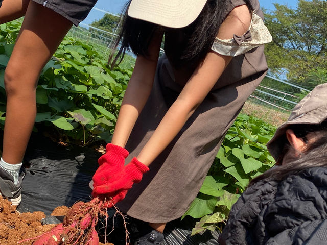 �Ԃ���t���[�c�����h