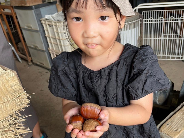 ����E��_�Ԃ���t���[�c�����h