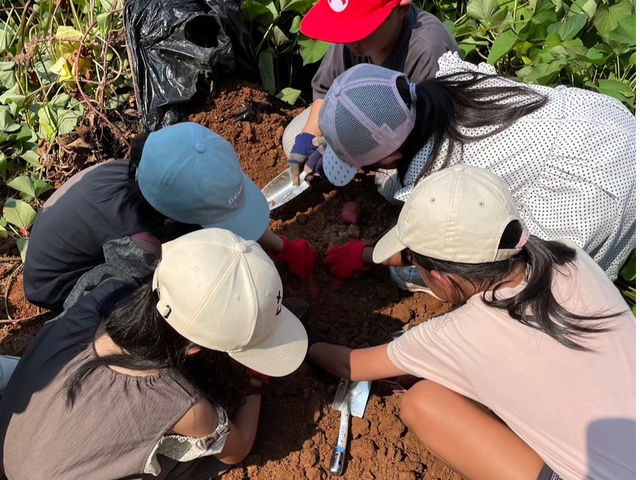 �Ԃ���t���[�c�����h