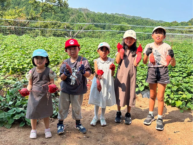 �Ԃ���t���[�c�����h