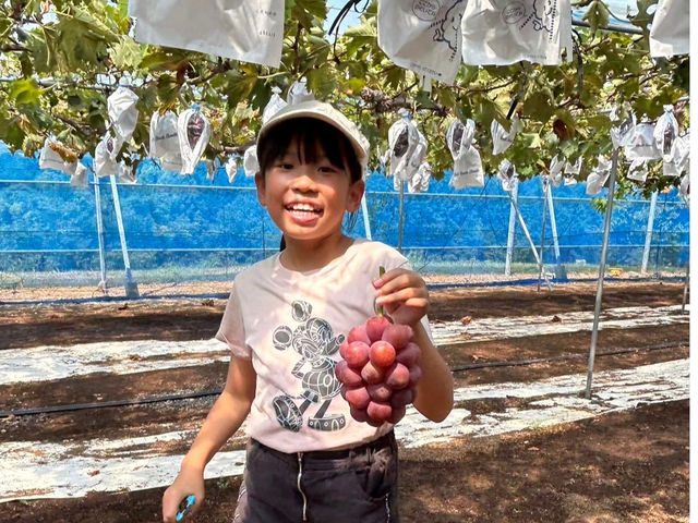 �Ԃ���t���[�c�����h