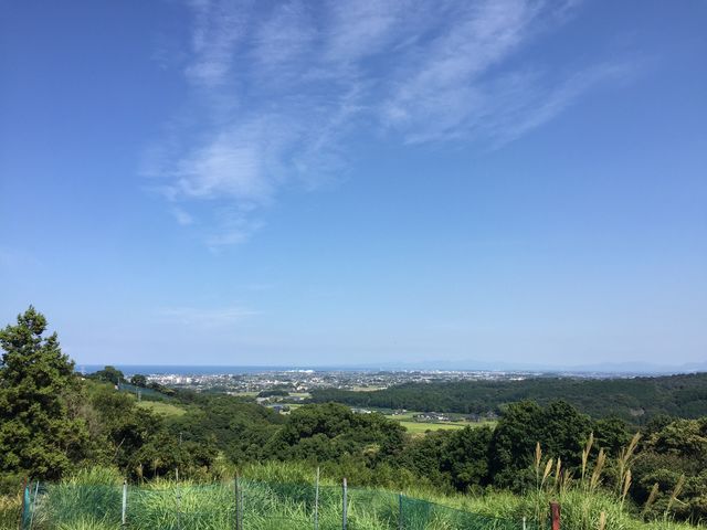 �Ԃ���t���[�c�����h