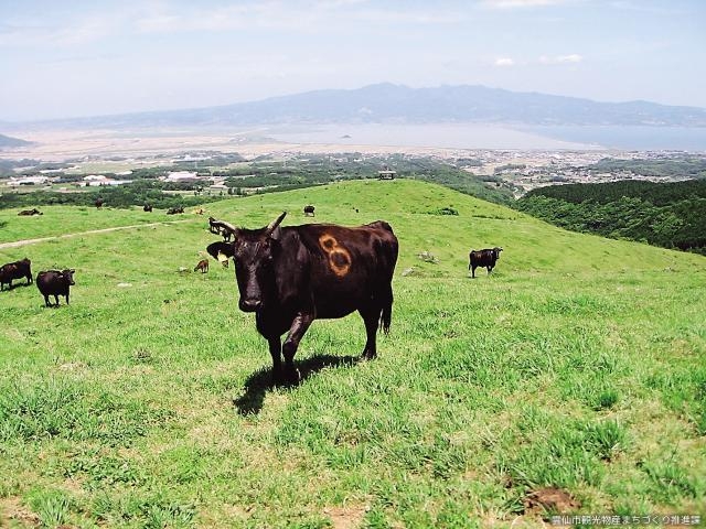 �q��̗����Â�_�q��̗����Â�