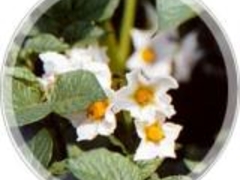 ������ό����|�Z���^�[�̎ʐ^