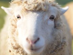 成田ゆめ牧場の写真一覧 - じゃらんnet