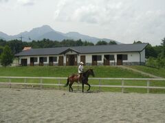 �J���q��̎ʐ^