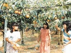 ���c�_���^�Ȃ��E�Ԃǂ��E��񂲂̎ʐ^1