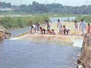 ���{�ό����i�̎ʐ^1