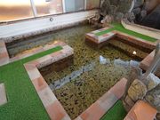 �V�R����N�A�n�E�X�����̎ʐ^2