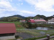 ���s�{�{�Y�Z�p�Z���^�[�􍂌��q��̎ʐ^2