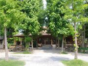 �e�[�W���X�E�����`�̎ʐ^2