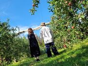 SMILE-LABO HIROSHIMAiFʎ̐Xj̎ʐ^4