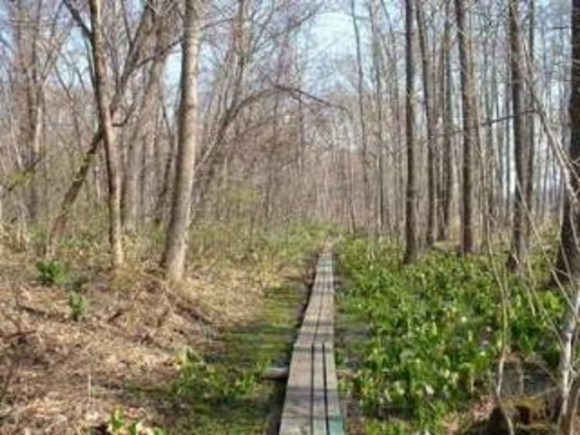 �Đl�T���V����