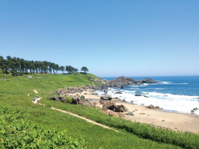 �݂��̂������g���C���i�퍷�C�ݗV�����j