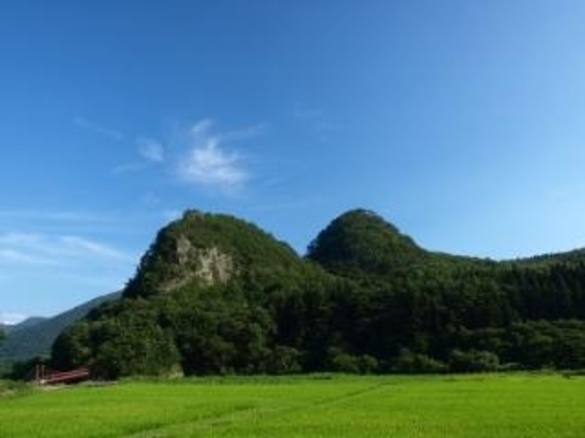 �X��X�V����