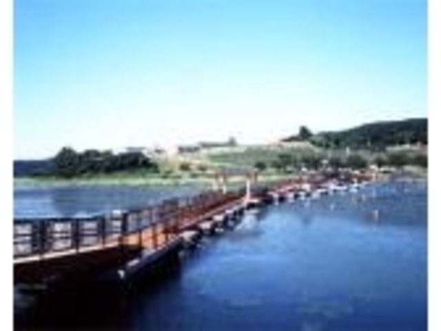 �������V�����̎ʐ^1