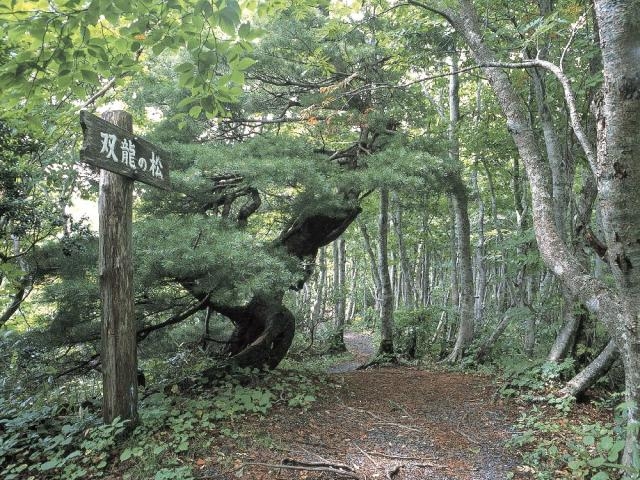 �������������U���H