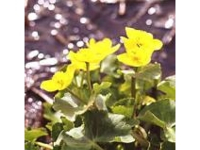 �y���������V����