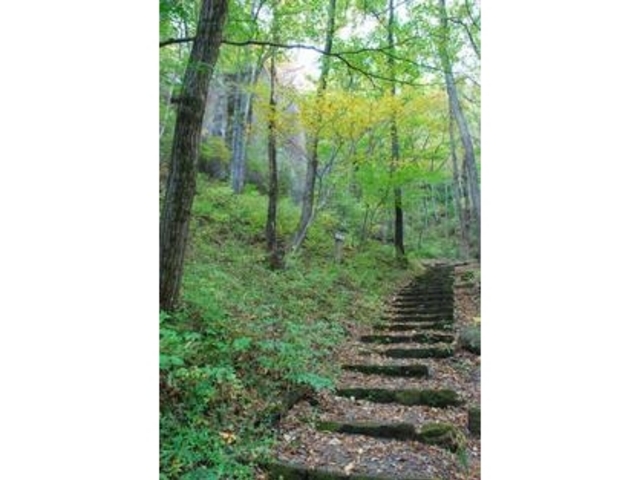 ���̋��V����