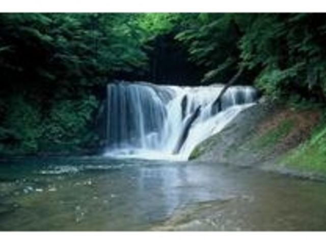 ��x�̑�_���̋��V����