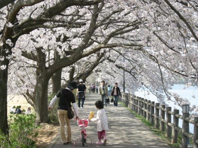 �����V����