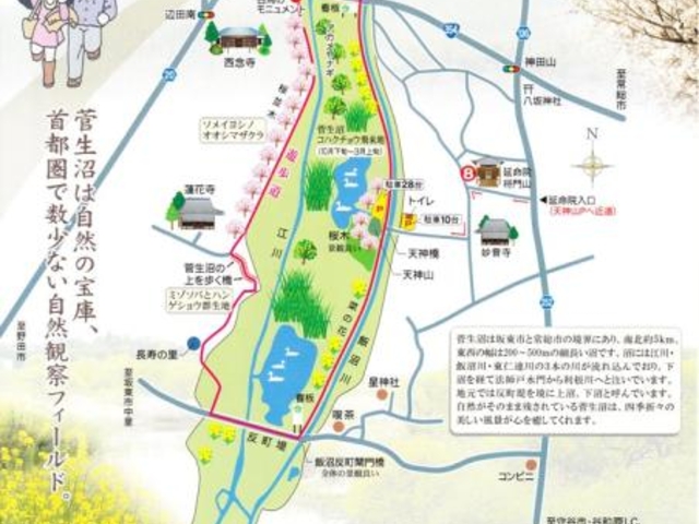 �������V�����i���΂炫�w���X���[�h�j_�������V����