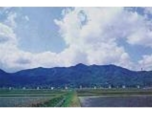 ֓ӂꂠ̓i̗CuhÊ݂j̎ʐ^1