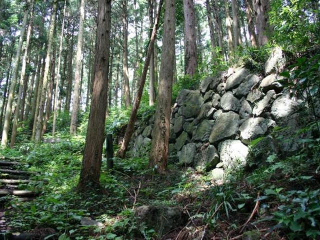 ������E��R���R�����̎ʐ^1