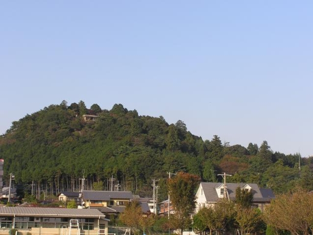 �[����V���R����_���������R����