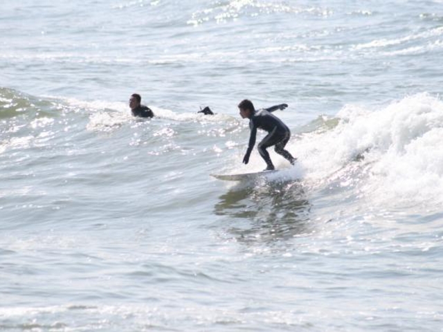 ���蓇���R�ώ@�R�[�X