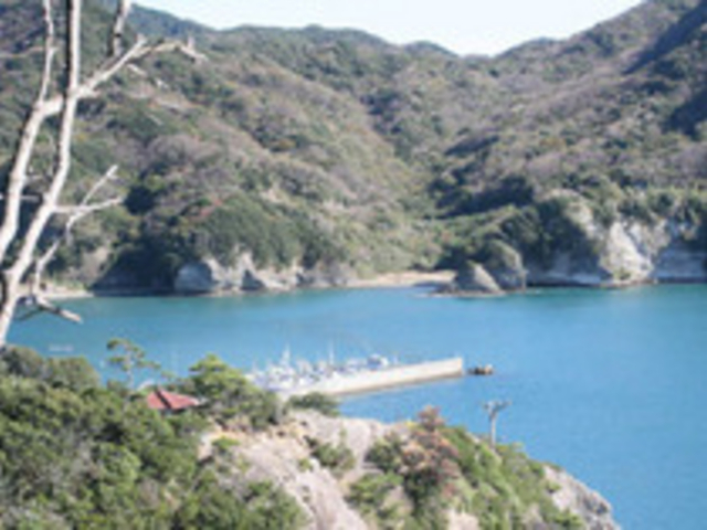 �q�Y���a�R�V����