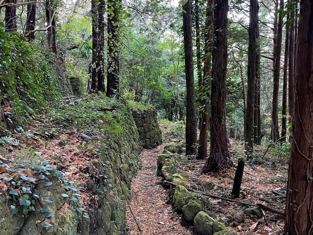 ��n�i���J�j����