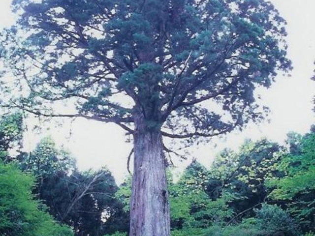 ���Y��_���Y������