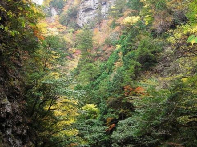 �{�̒J�k�J�V����