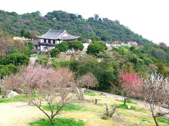 ��Î��R�ώ@�����̎ʐ^1