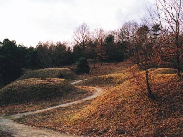 ��ˌÕ��V�����̎ʐ^1