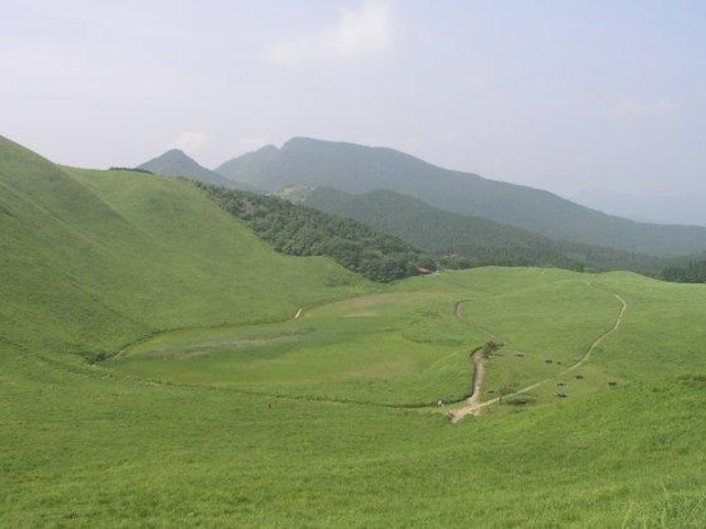 ���T�r�T�����H