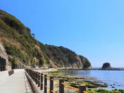 ��̉Y�V�����̎ʐ^1