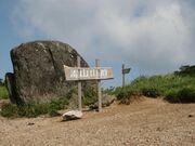 ���R���R�����̎ʐ^1