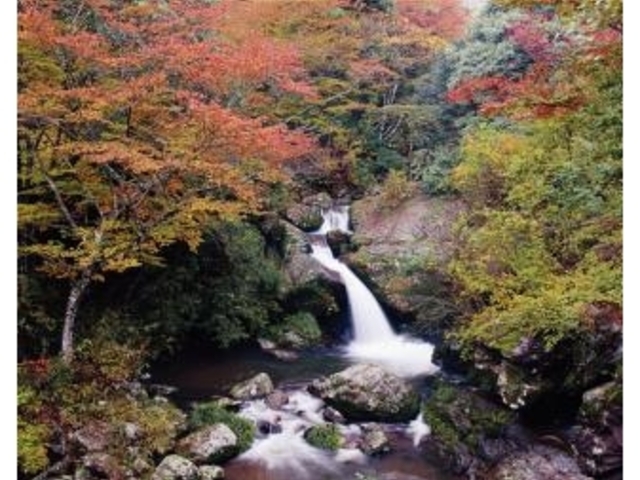 ���k�̍g�t