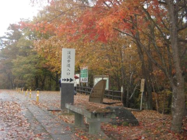 ���k�̍g�t