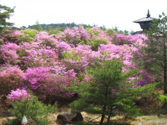 �݂΂�_���k�̎R��