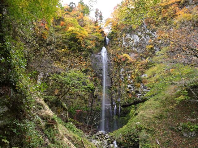 ������̍g�t�̎ʐ^1