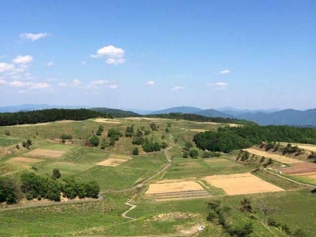 ���P�򍂌��̎ʐ^1