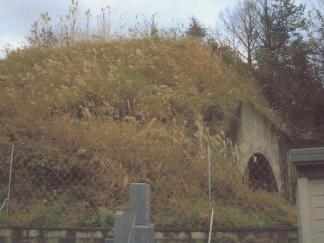 ��̎R�Õ��̎ʐ^1