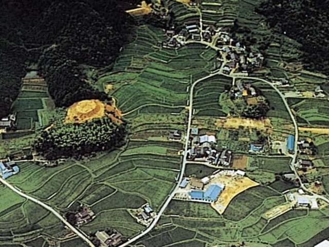 �r�c�Õ��Q�̎ʐ^1