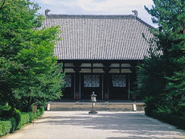 �����񎛂̔��̎ʐ^1