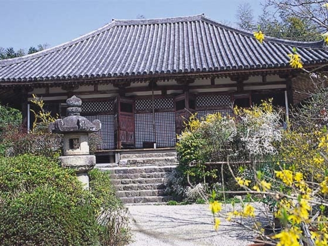 �s�ގ��̃����M���E�̎ʐ^1