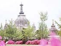 ���ÎR�̃c�c�W�̎ʐ^1